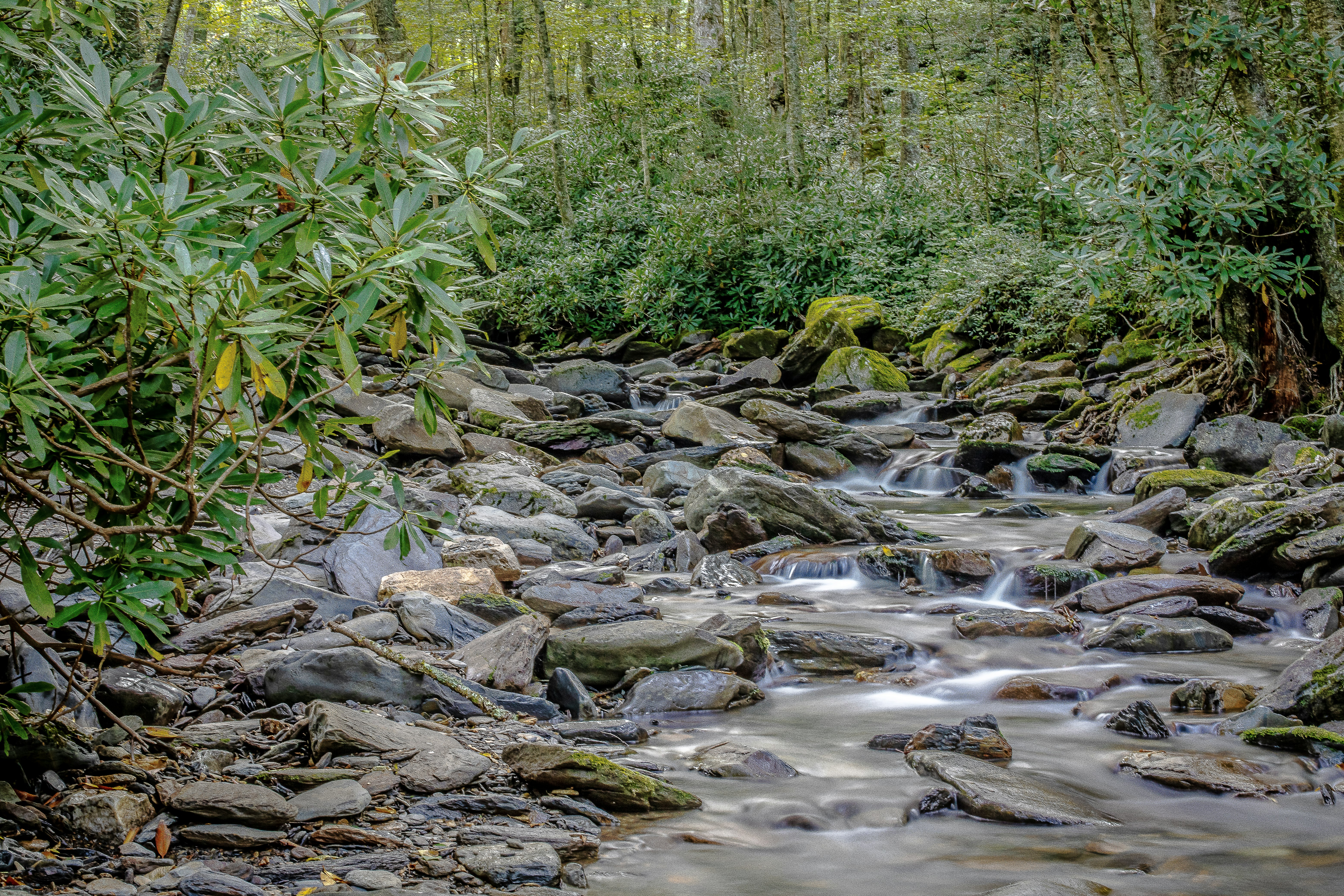 gray rocks on river during daytime